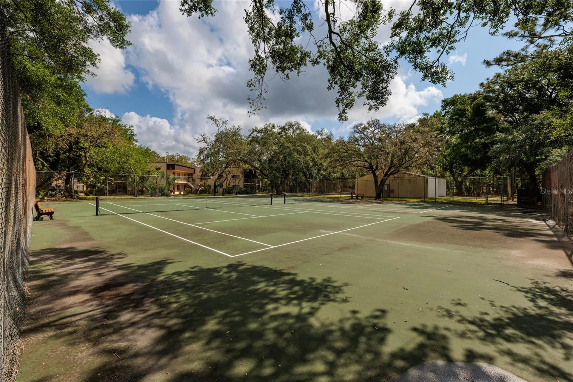 11708 Raintree Village Boulevard Temple Terrace FL 33617