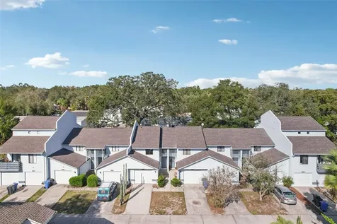 1310 Mountain View Drive Tampa FL 33612