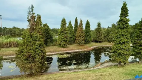 10644 Lake Montauk Drive Riverview FL 33578