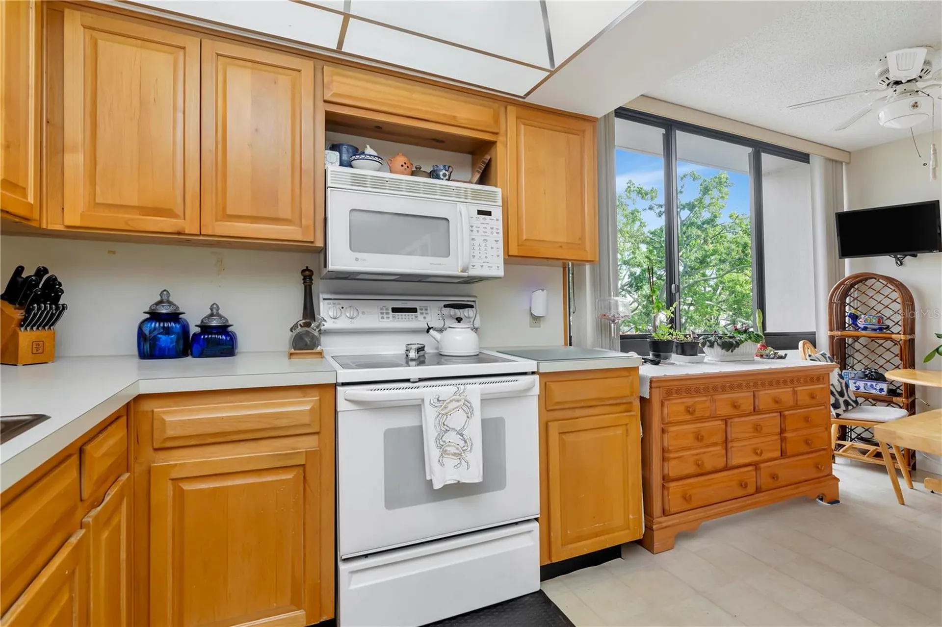 3301 Bayshore Boulevard Tampa FL 33629