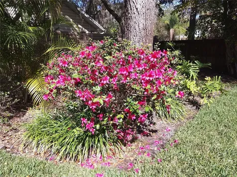 192 Sage Circle Crystal Beach FL 34681
