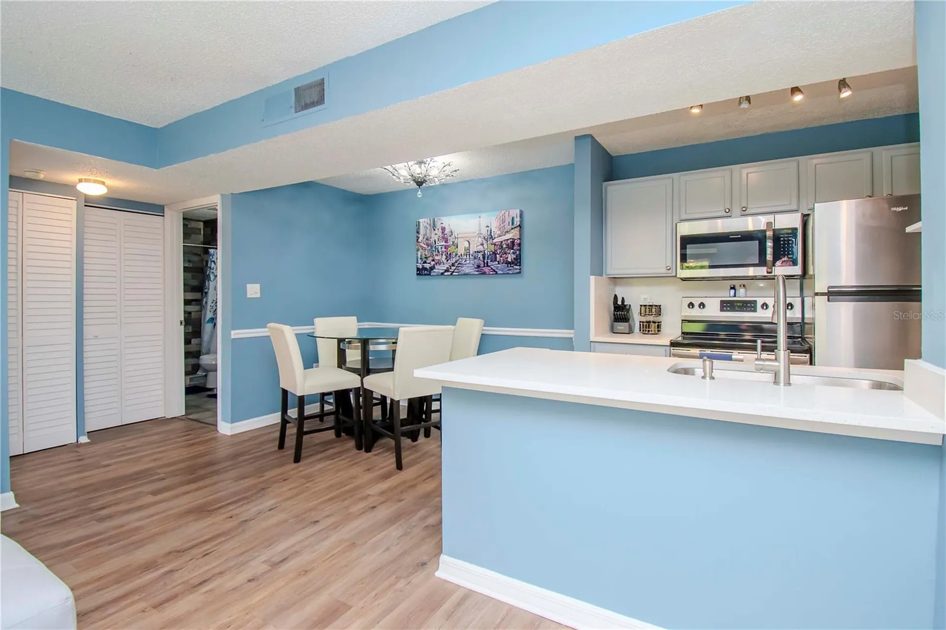 314 Lake Parsons Green Brandon FL 33511