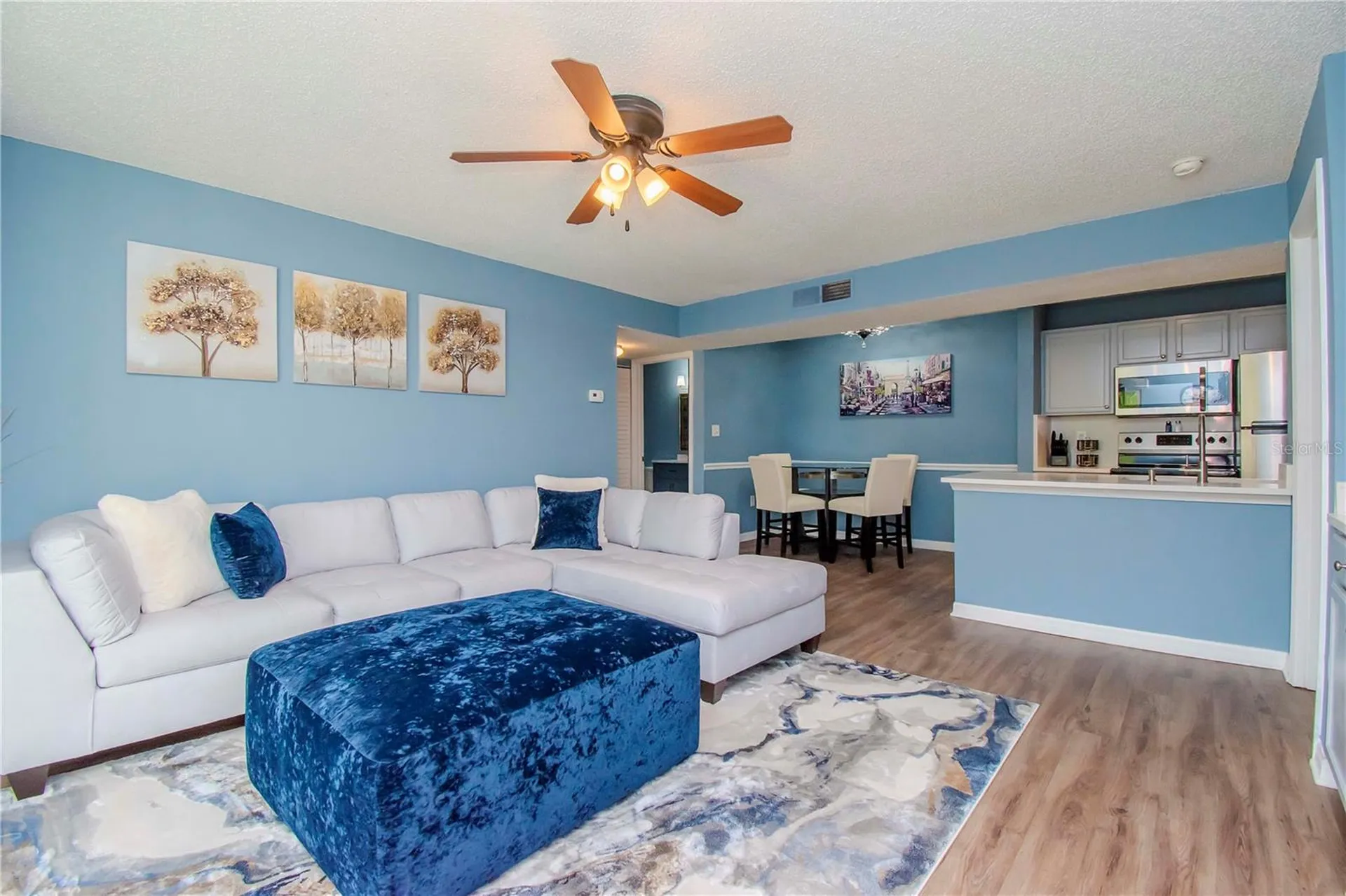 314 Lake Parsons Green Brandon FL 33511