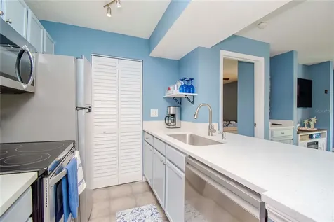 314 Lake Parsons Green Brandon FL 33511
