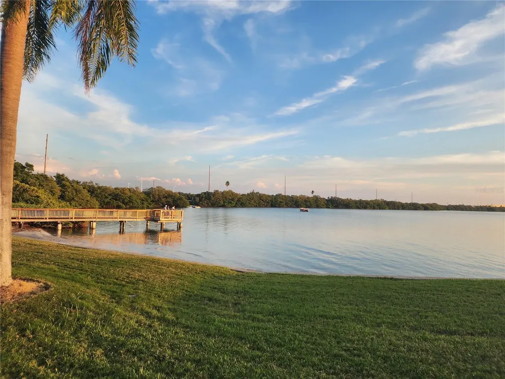 6361 Bahia Del Mar Boulevard St Petersburg FL 33715