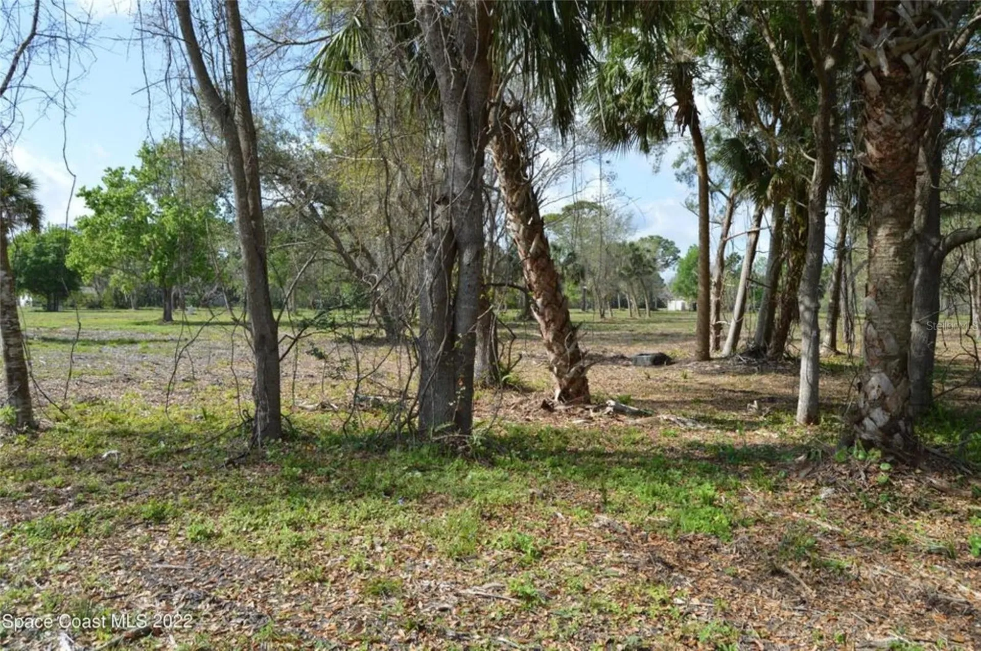 3500 Us Highway 1 Mims FL 32754