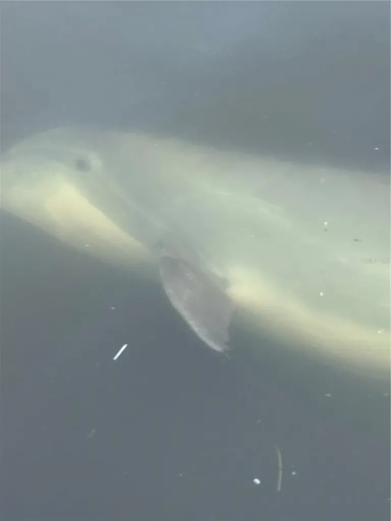 3821 NW 23rd Street Cape Coral FL 33993