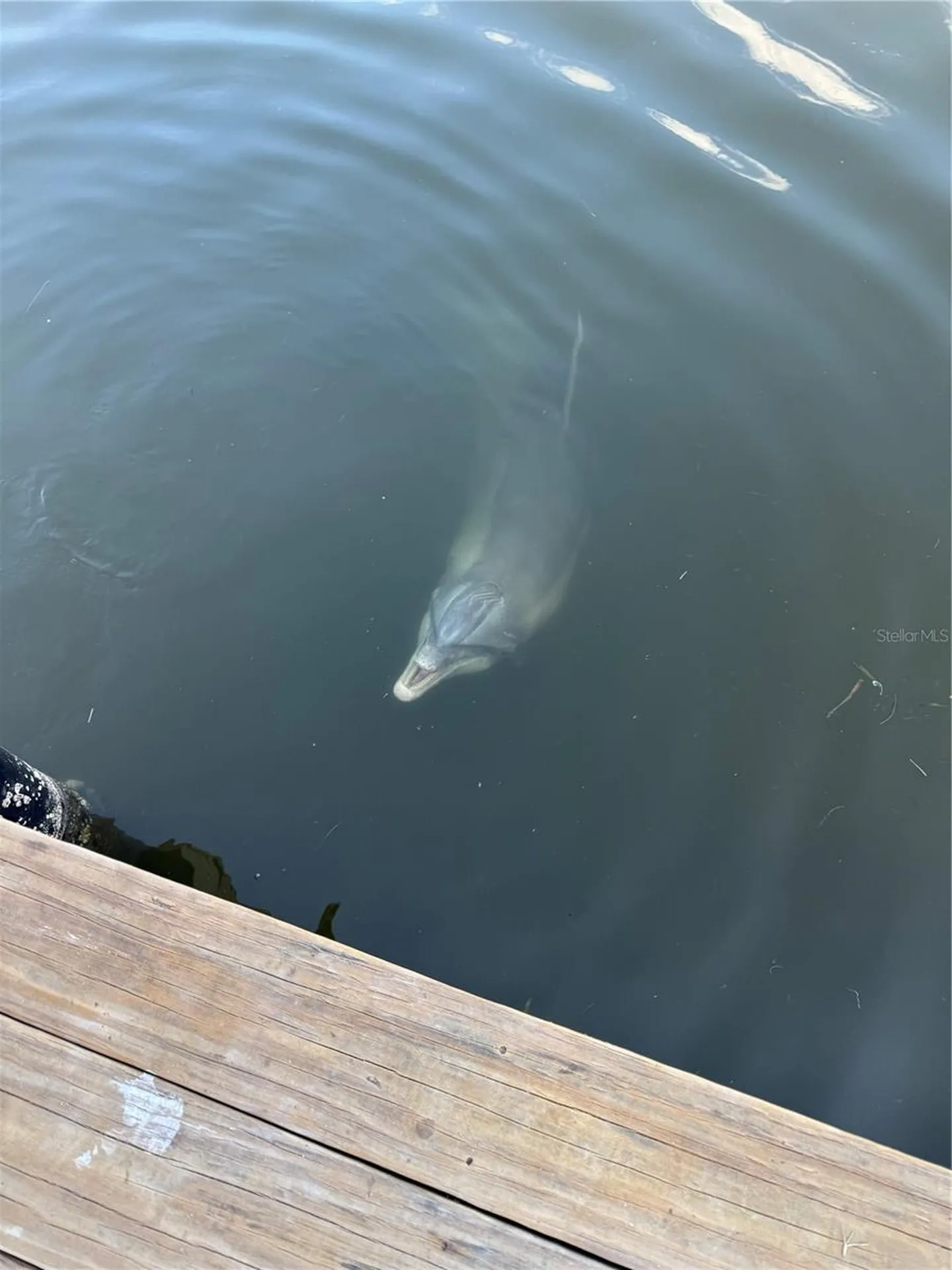 3821 NW 23rd Street Cape Coral FL 33993