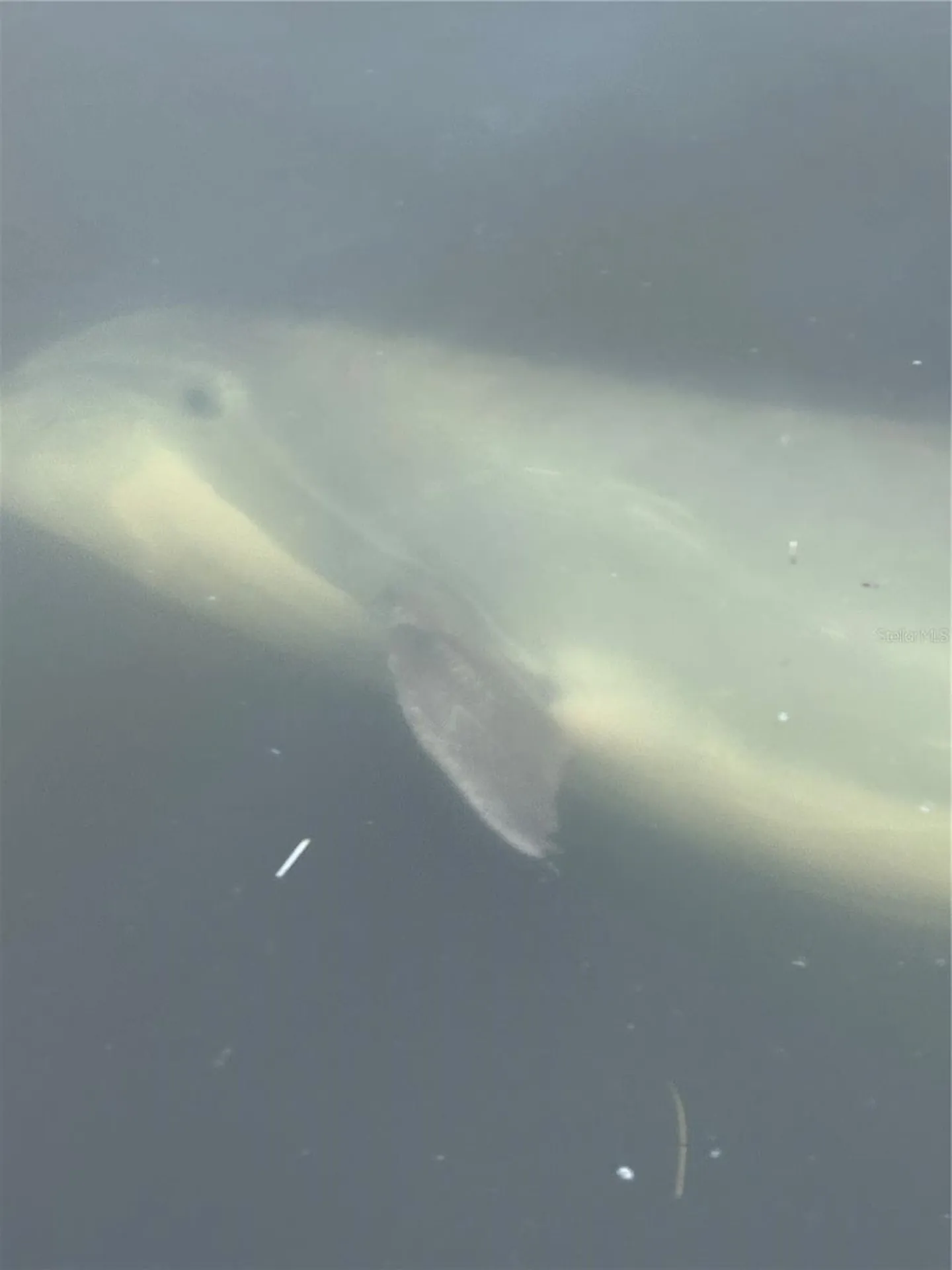 3821 NW 23rd Street Cape Coral FL 33993