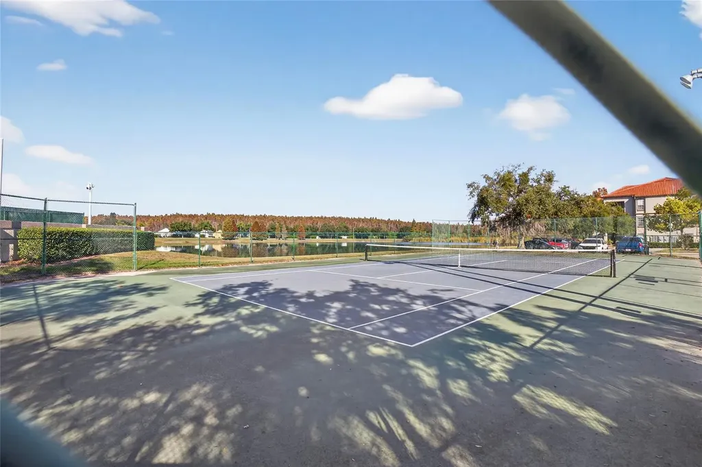 4201 Woodstorks Walk Way Lutz FL 33558