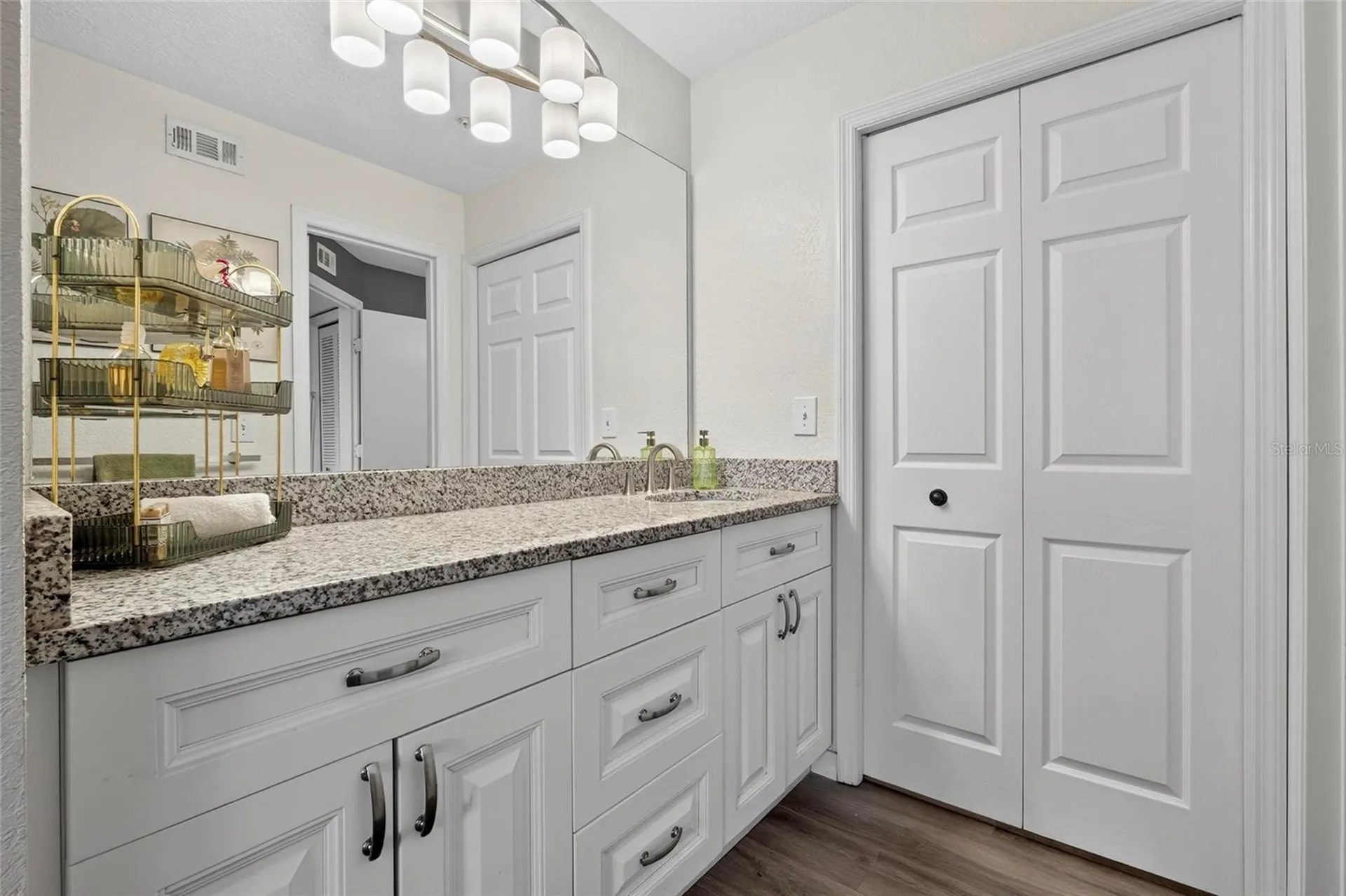 4201 Woodstorks Walk Way Lutz FL 33558