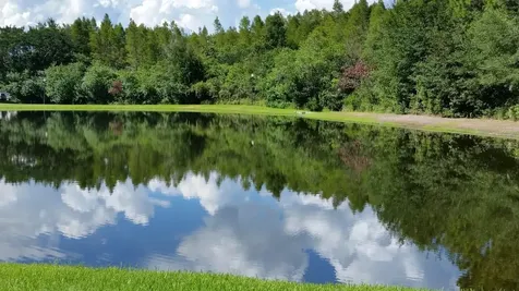 4201 Woodstorks Walk Way Lutz FL 33558