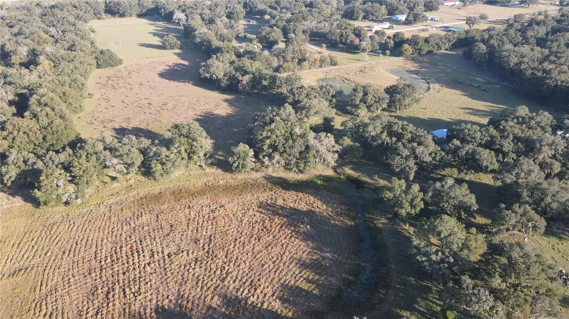 7223 SW 55th Street Bushnell FL 33513