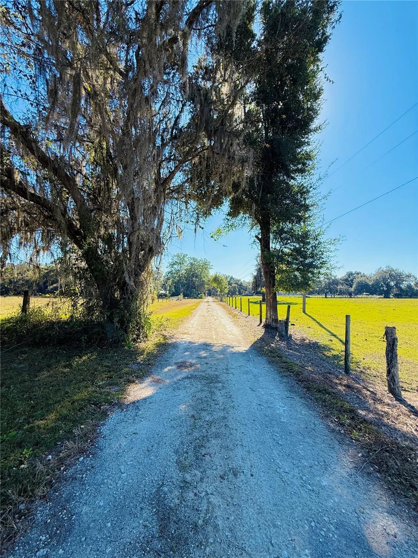 7223 SW 55th Street Bushnell FL 33513