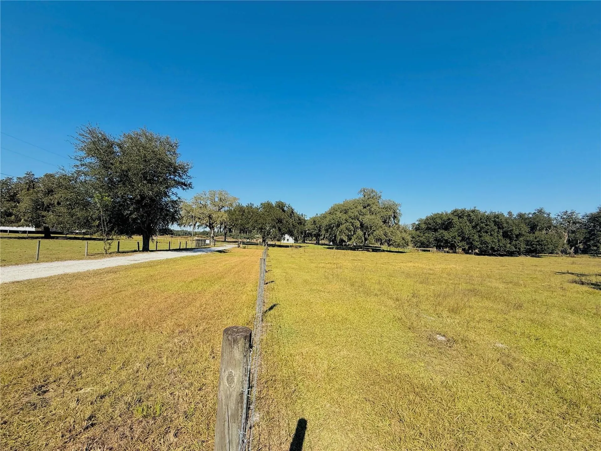 7223 SW 55th Street Bushnell FL 33513