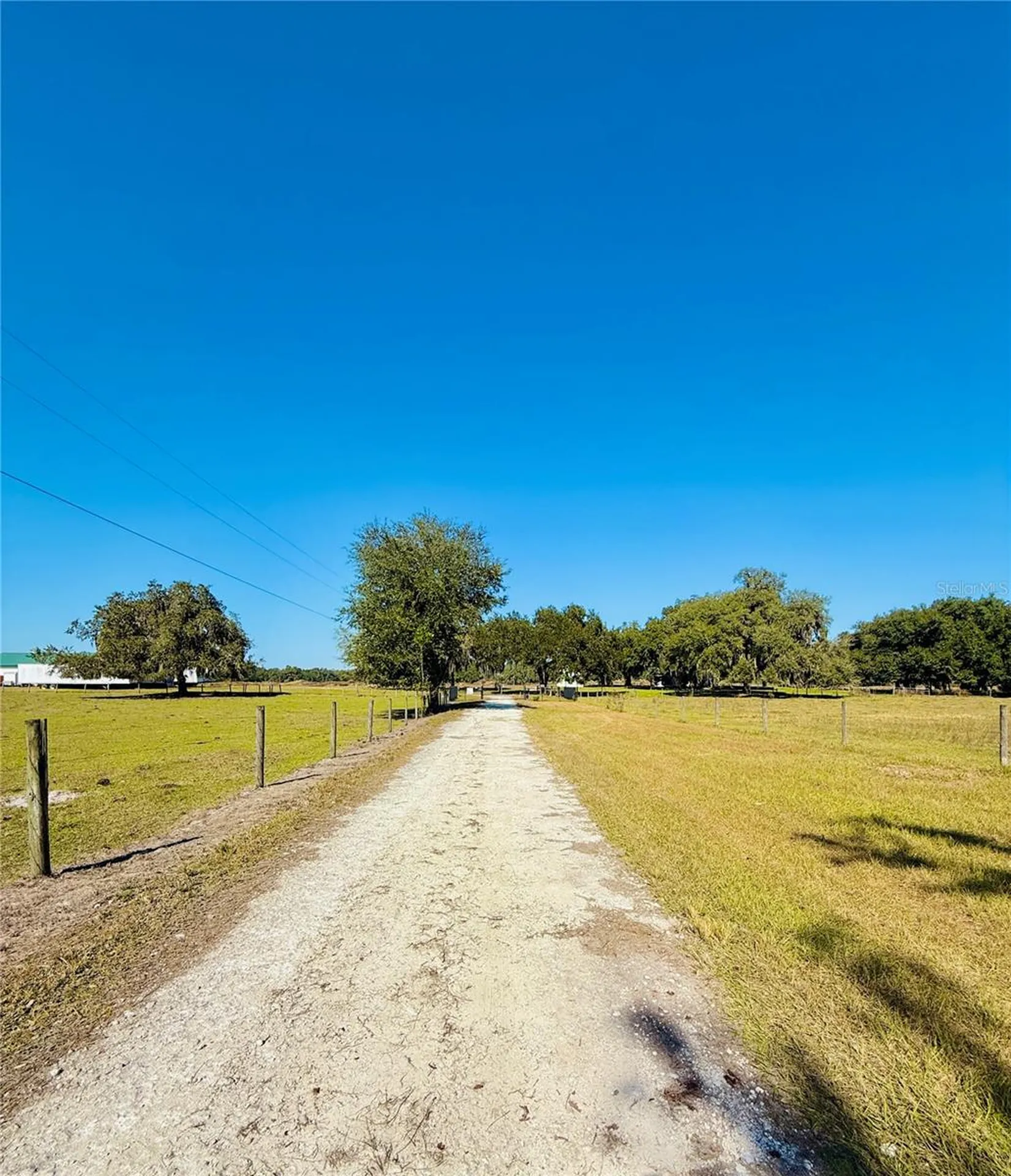 7223 SW 55th Street Bushnell FL 33513