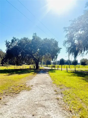 7223 SW 55th Street Bushnell FL 33513
