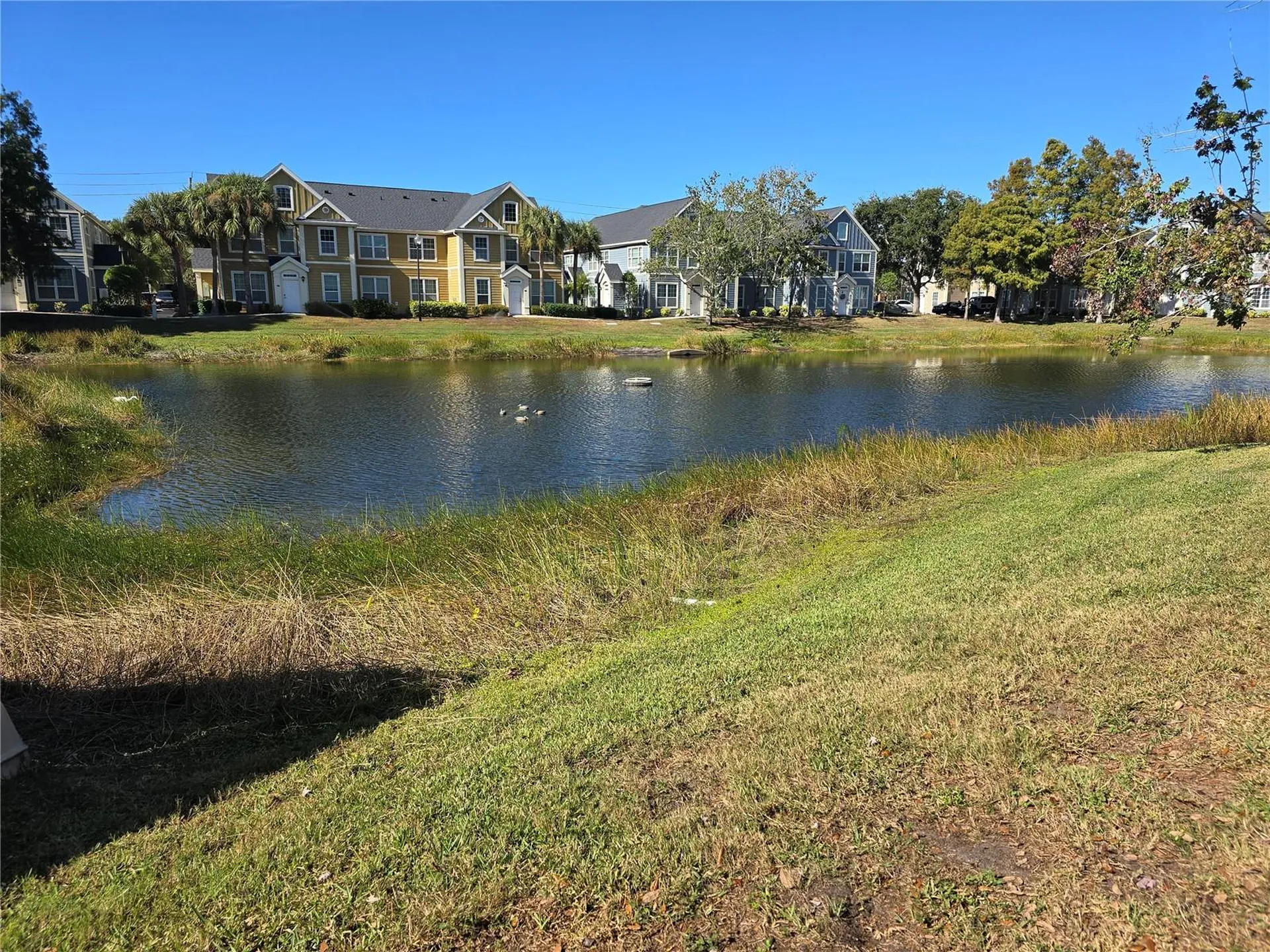 5601 Rosehill Road Sarasota FL 34233