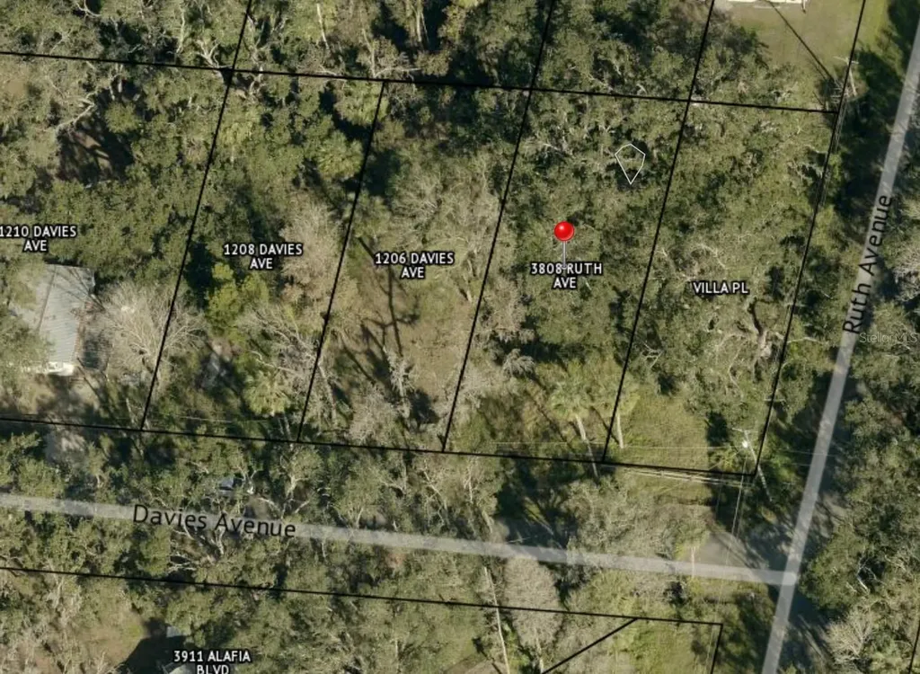 1204 Davies Road Brandon FL 33511