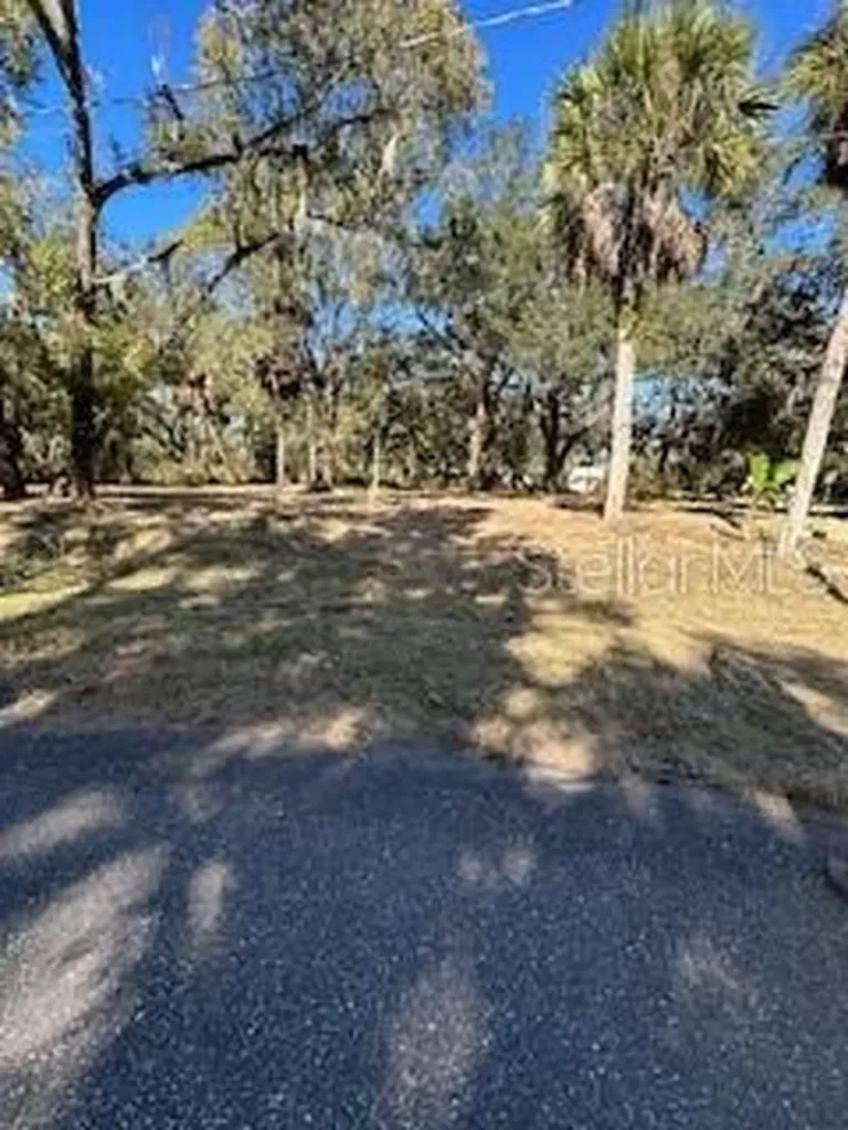 1204 Davies Road Brandon FL 33511