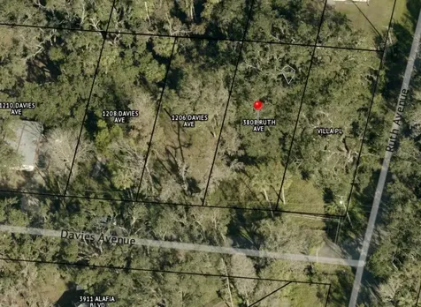 1204 Davies Road Brandon FL 33511