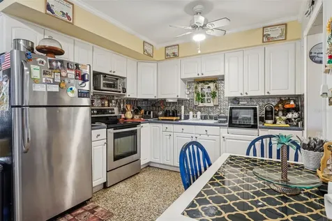 305 N Lauber Way Tampa FL 33609