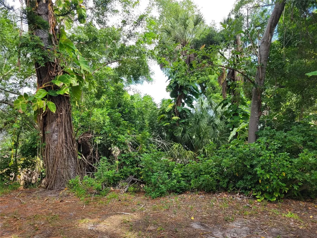 2009 Canal Drive Bradenton FL 34207