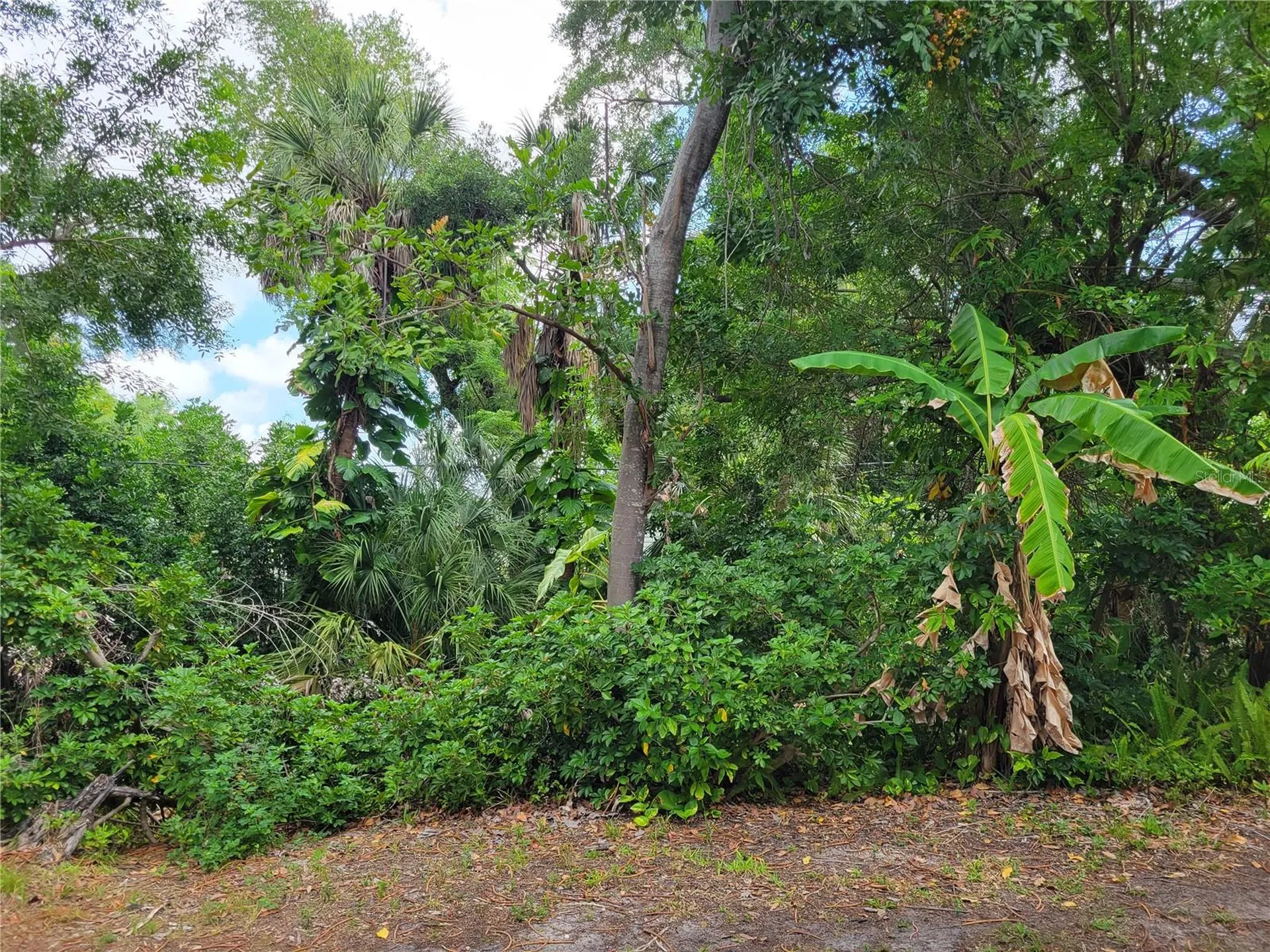 2009 Canal Drive Bradenton FL 34207