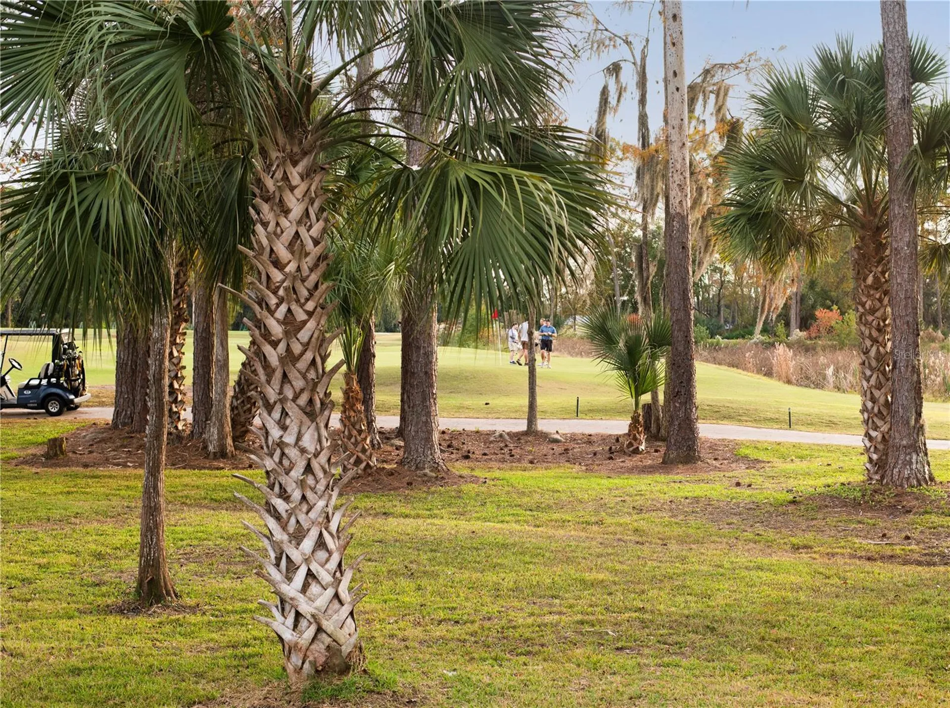 340 Wellington Drive Palm Coast FL 32164