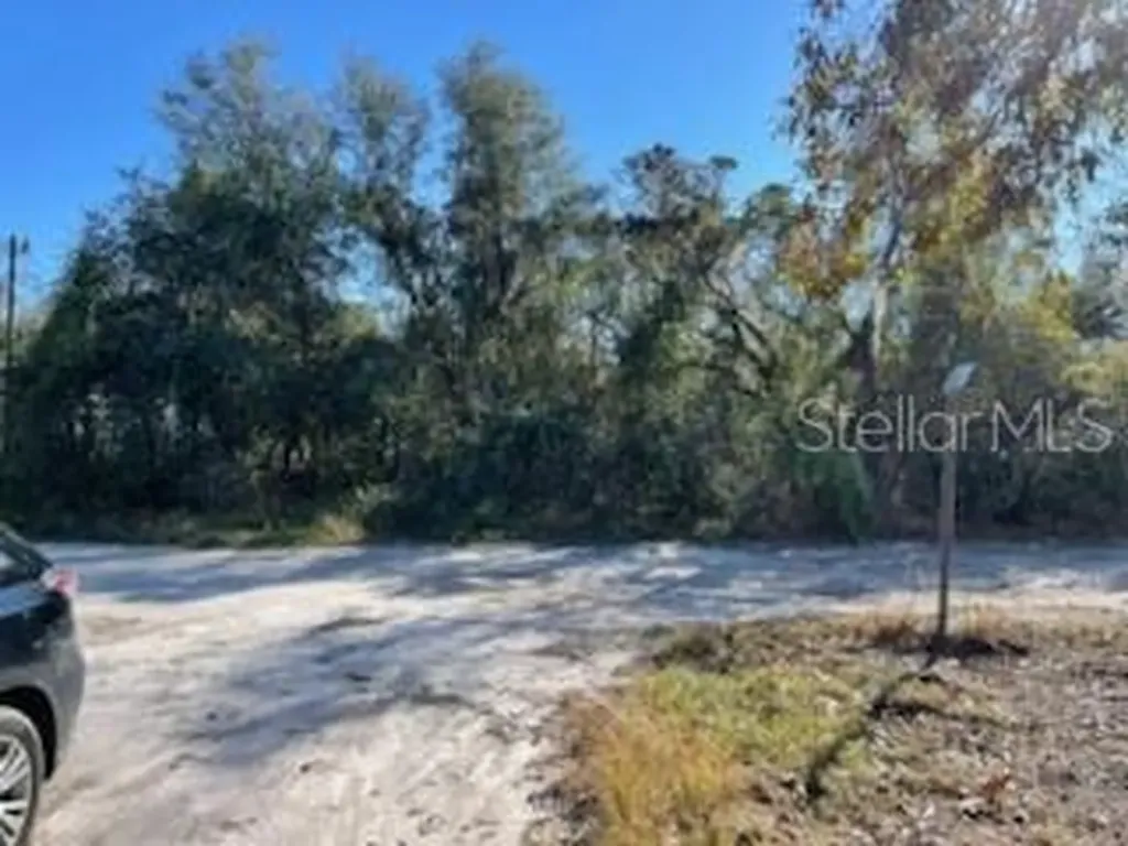 Hagar Drive New Port Richey FL 34652