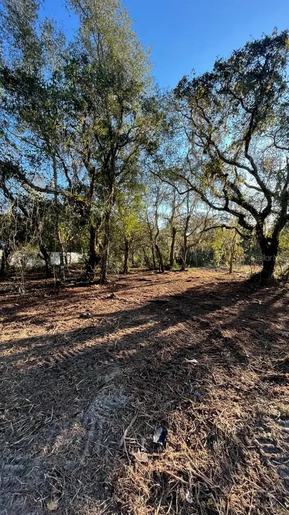 Hagar Drive New Port Richey FL 34652
