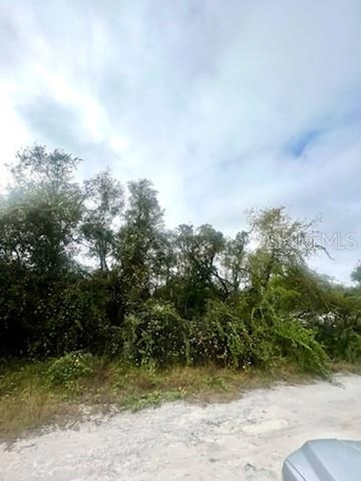 Hagar Drive New Port Richey FL 34652