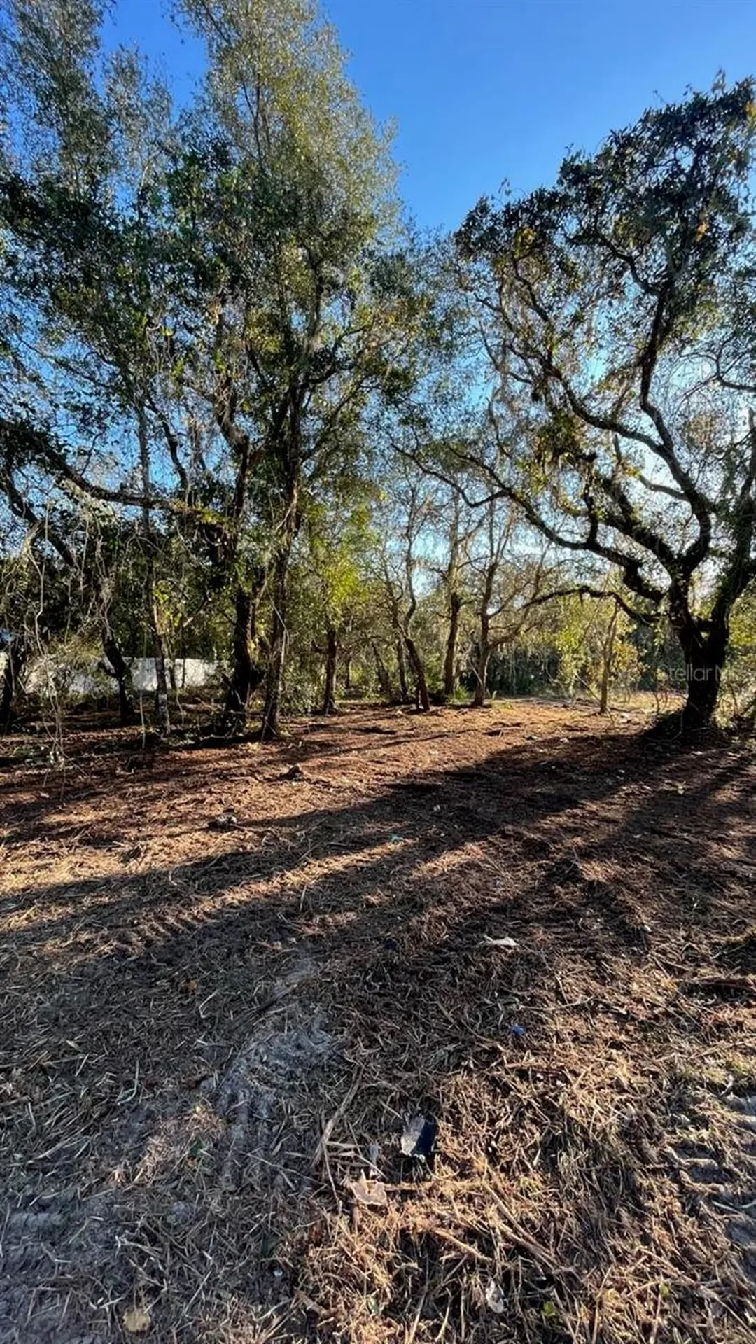 Hagar Drive New Port Richey FL 34652