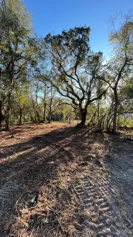 Hagar Drive New Port Richey FL 34652