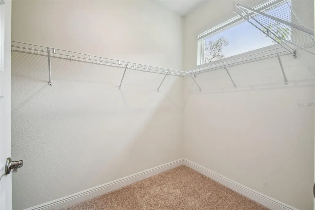 11347 Striped Bass Court New Port Richey FL 34654