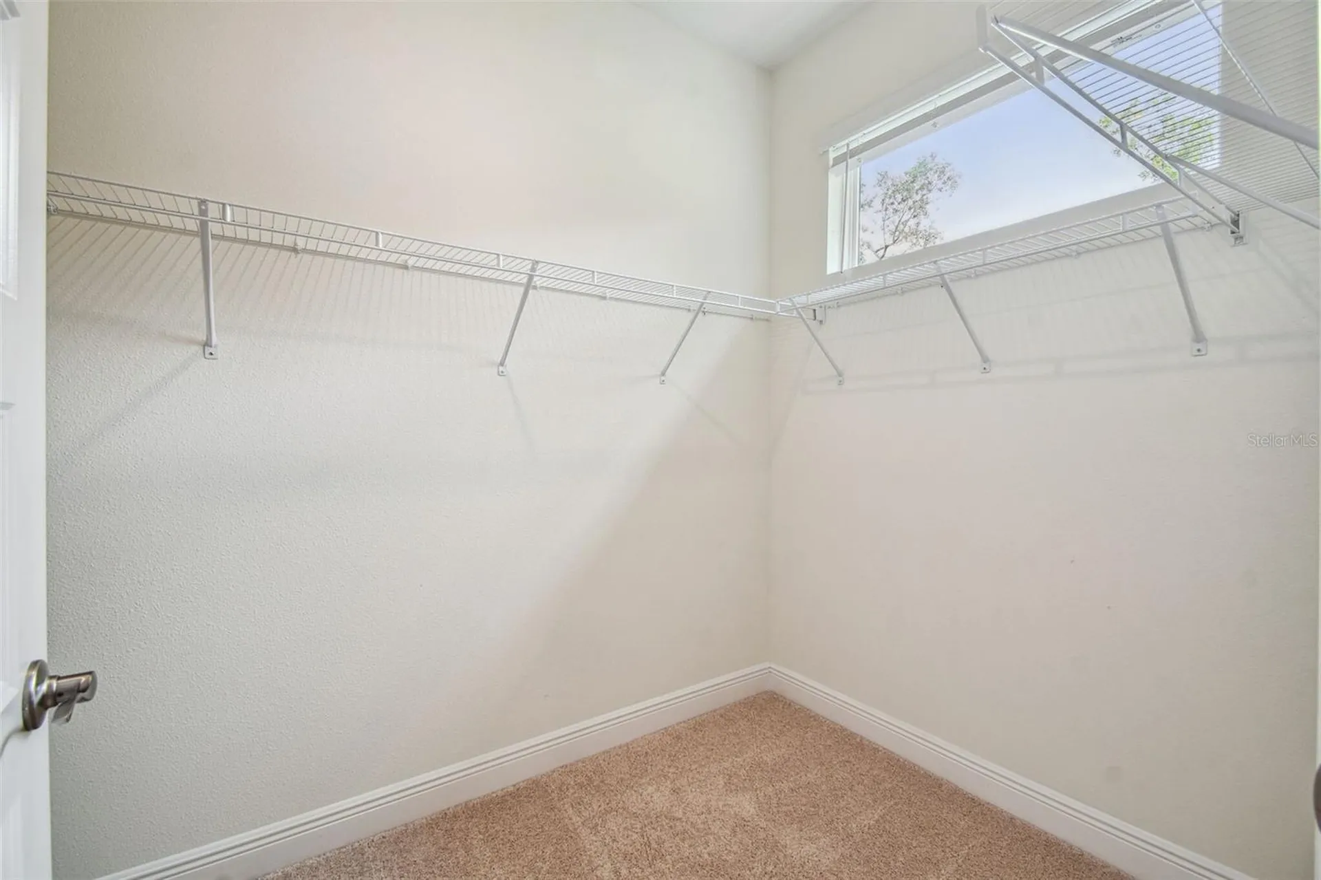 11347 Striped Bass Court New Port Richey FL 34654