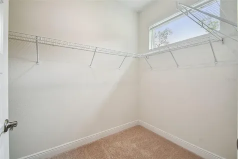 11347 Striped Bass Court New Port Richey FL 34654