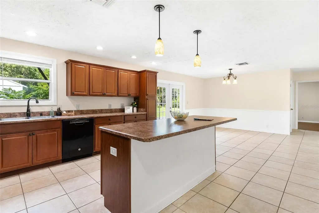 229 W Mcclendon Street Lady Lake FL 32159