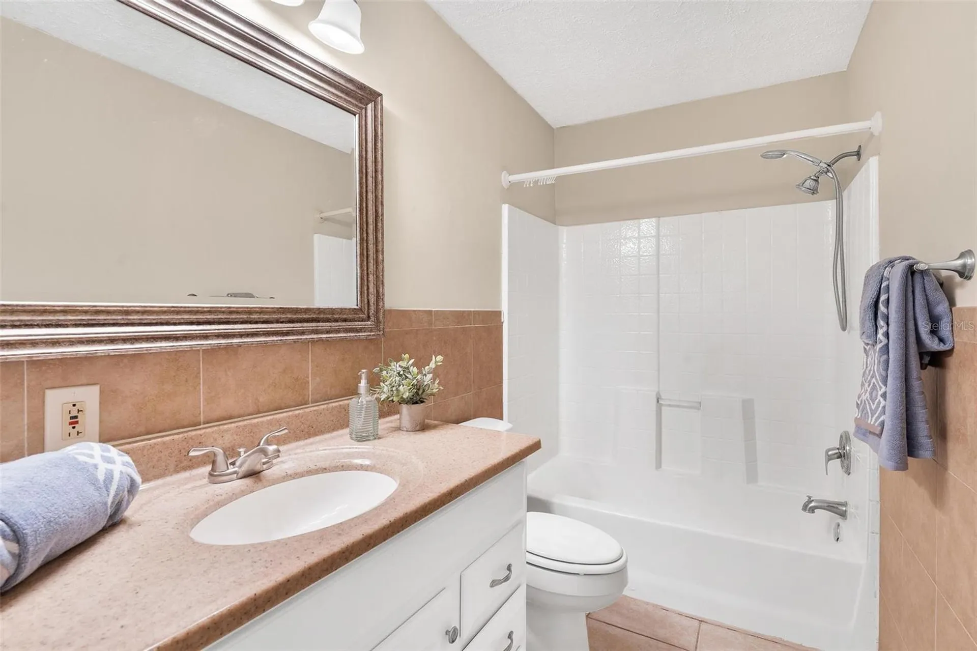 229 W Mcclendon Street Lady Lake FL 32159