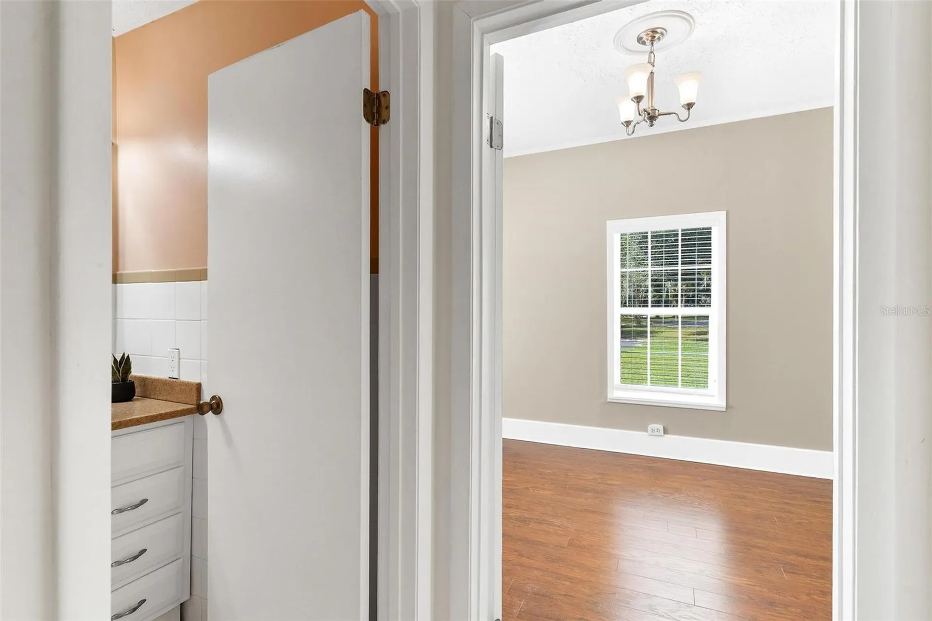 229 W Mcclendon Street Lady Lake FL 32159