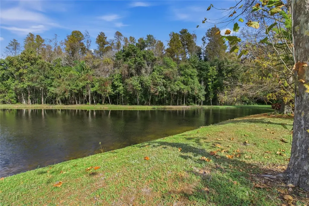 1160 Lindenwood Drive Tarpon Springs FL 34688