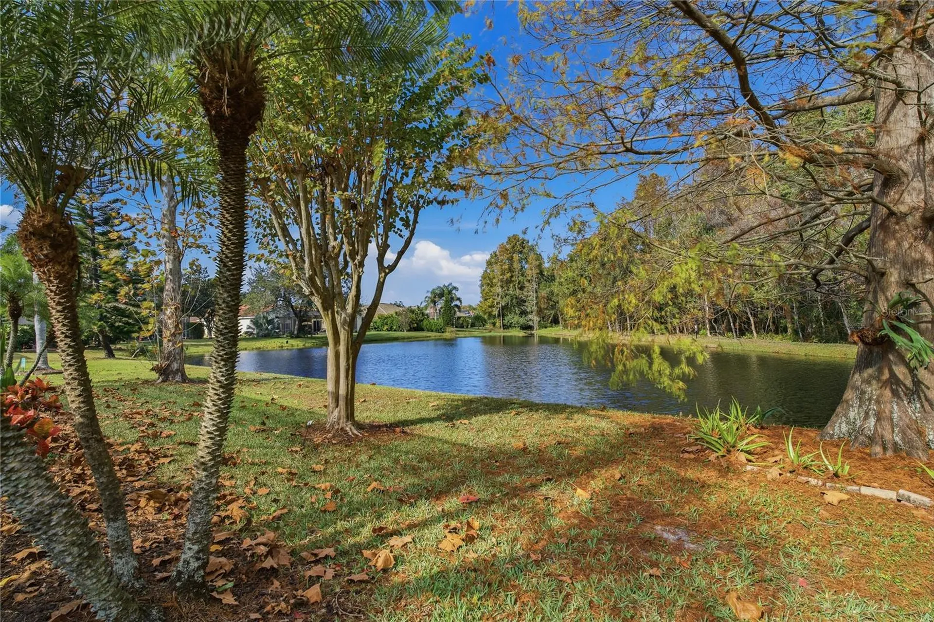 1160 Lindenwood Drive Tarpon Springs FL 34688