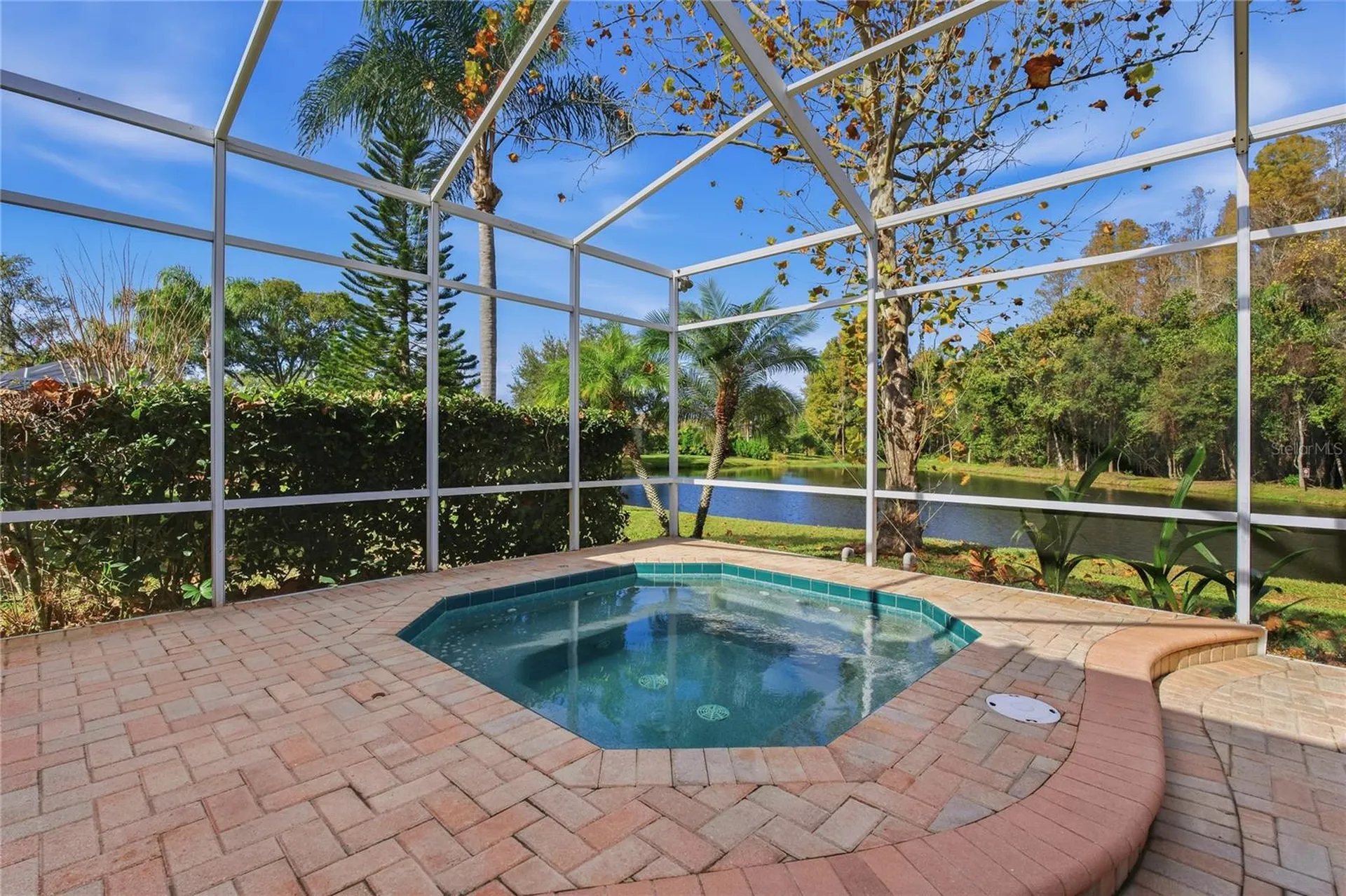 1160 Lindenwood Drive Tarpon Springs FL 34688