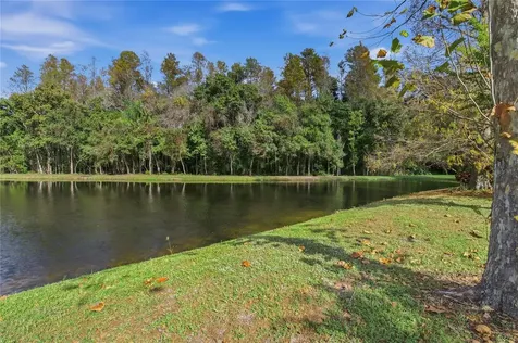 1160 Lindenwood Drive Tarpon Springs FL 34688