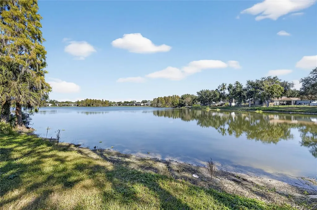 16604 Lake Heather Drive Tampa FL 33618