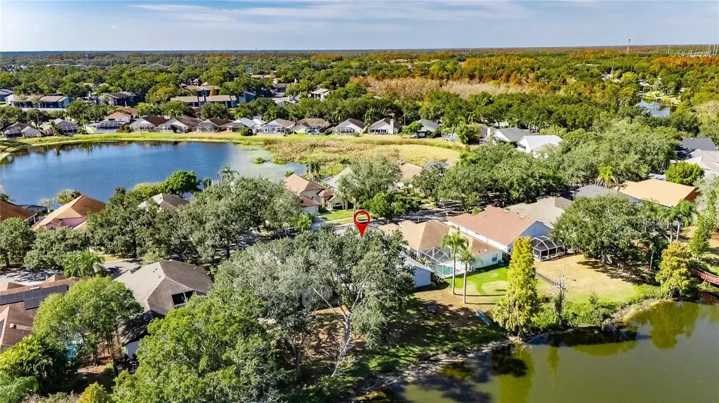 16604 Lake Heather Drive Tampa FL 33618
