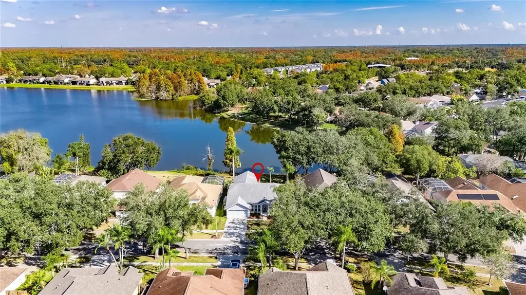 16604 Lake Heather Drive Tampa FL 33618
