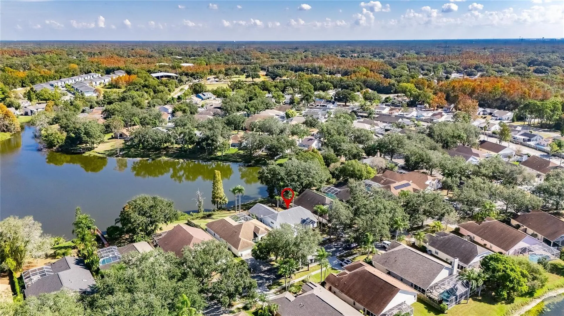 16604 Lake Heather Drive Tampa FL 33618