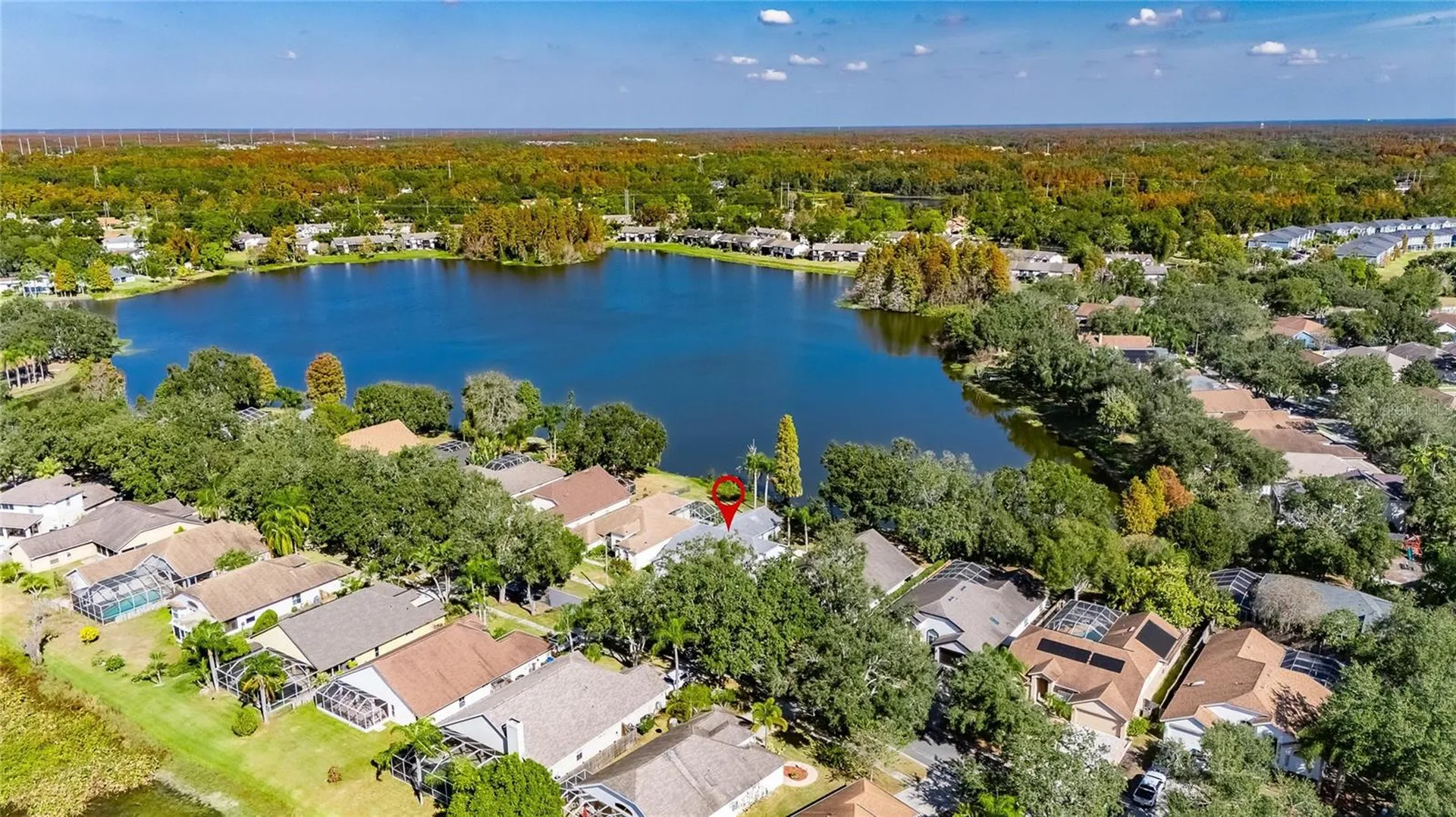 16604 Lake Heather Drive Tampa FL 33618