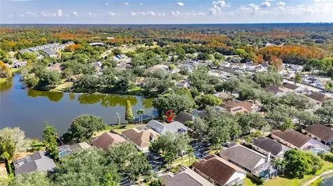 16604 Lake Heather Drive Tampa FL 33618